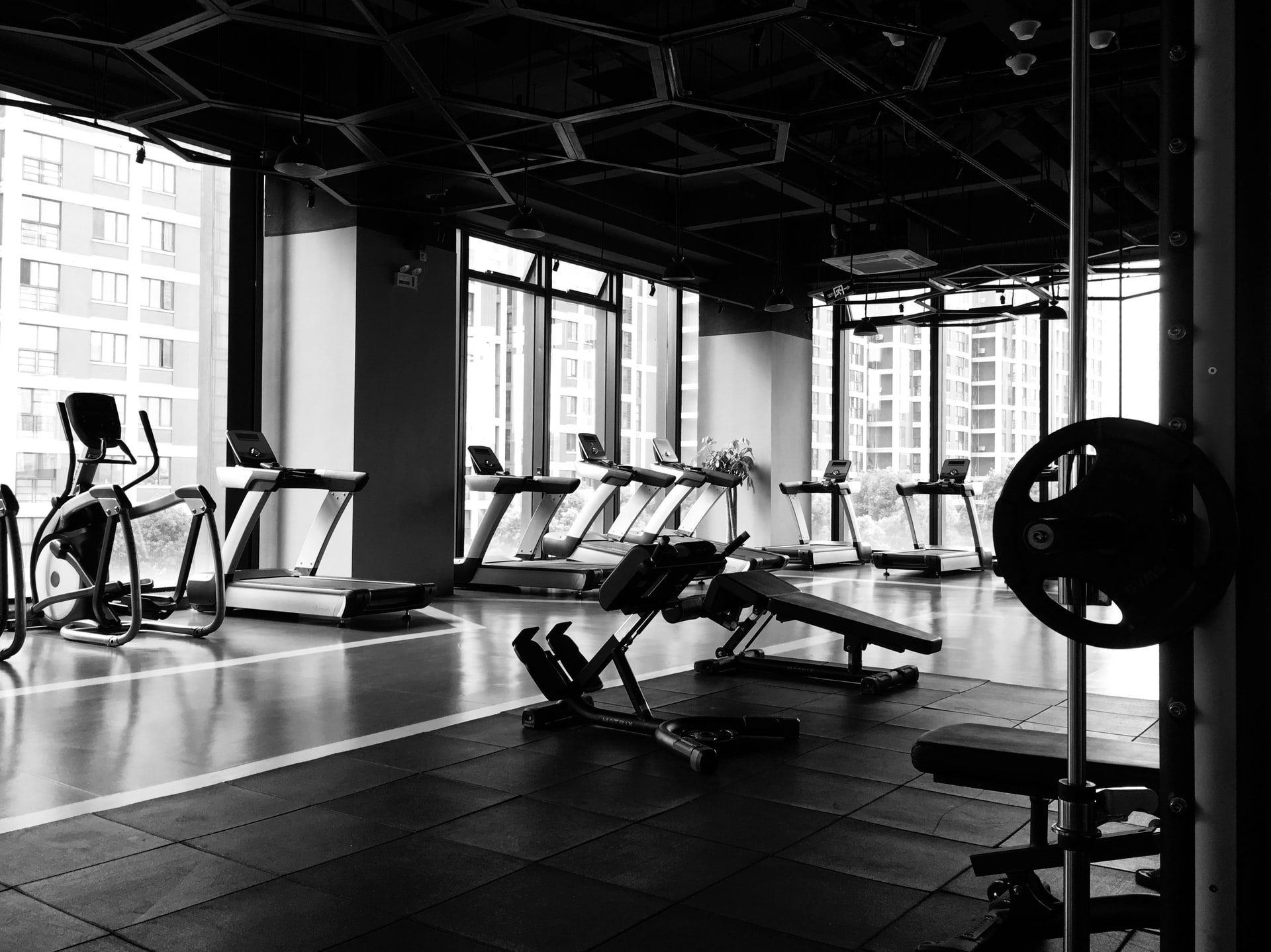 risen-wang-20jX9b35r_M-unsplash risen wang 20jX9b35r M unsplash